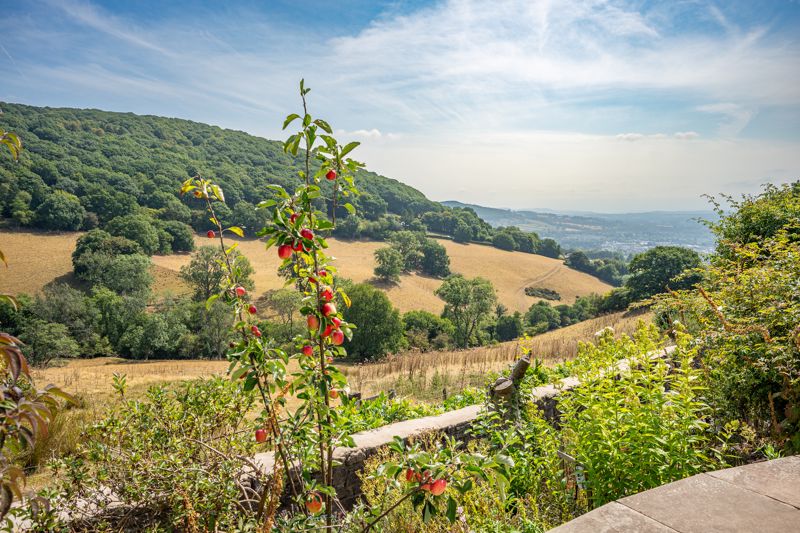 View- click for photo gallery